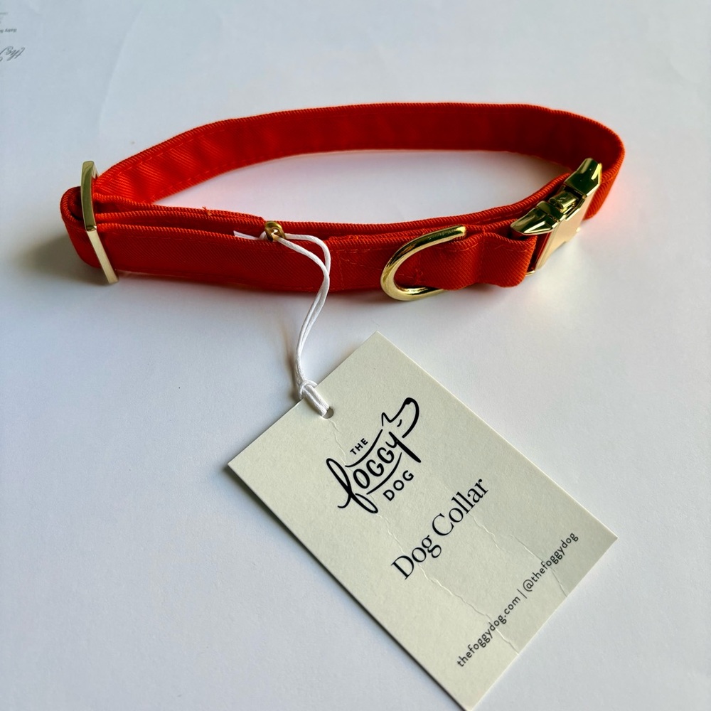 The Foggy Dog Orange Dog Collar Small Gold Hardware Pet Fall Harvest NEW w/ tags - Picture 4 of 13